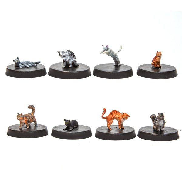 A Pack of Cats